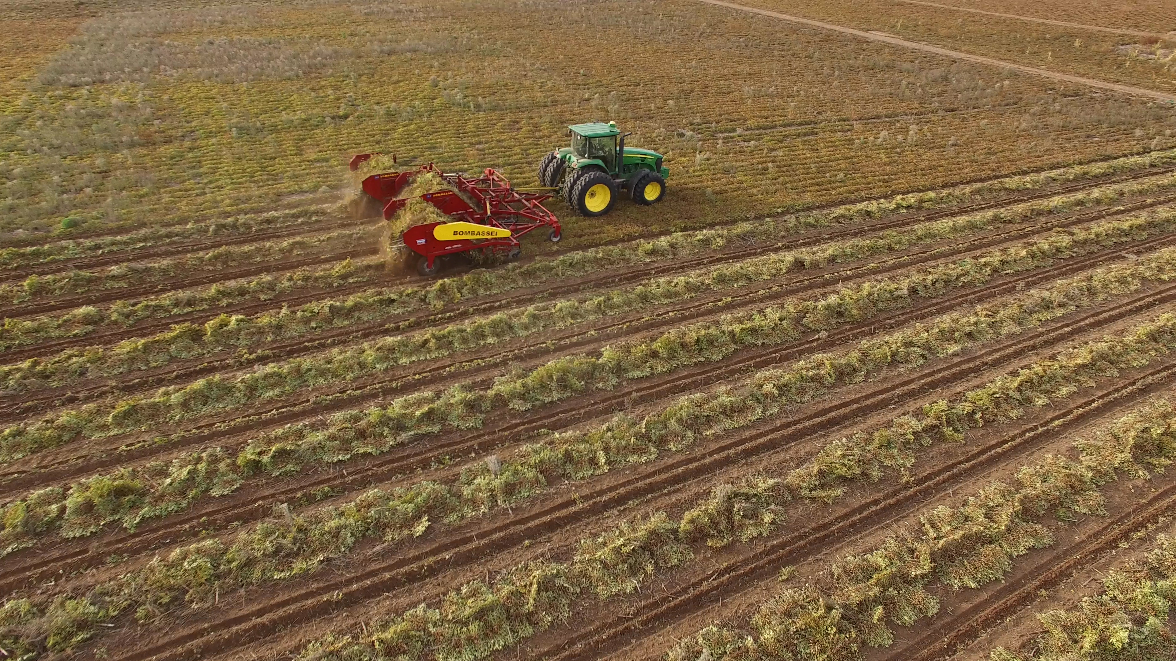 arrancadora bombassei